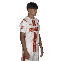 Posing Line Up Sticker by Bundesliga