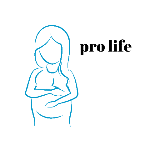 Pro-Life Pregnancy Sticker by Human Defense Initiative