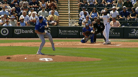 Mad Max Mlb GIF by Toronto Blue Jays