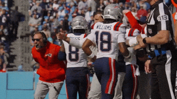 Mike Vrabel Football GIF by New England Patriots
