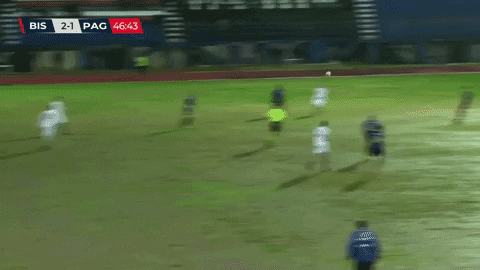 paganesemania giphygifmaker GIF