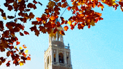 chapel hill fall GIF