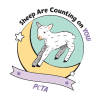 Fashion Vegan Sticker by PETA