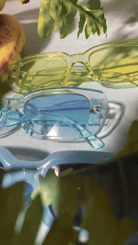 vibehaus giphyupload GIF