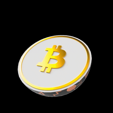 Crypto Bitcoin GIF by Coinpanion