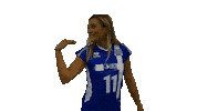 Volleyballgr Sticker by HellenicVolleyballFederation