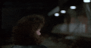 suspicious the fly GIF
