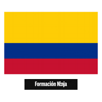 Flag Pixel Art Sticker by Formación Ninja