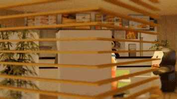 ChesterAbstract work crypto abstract pudgy GIF