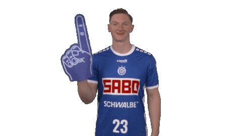 Handball-Bundesliga Sport Sticker by LIQUI MOLY HBL