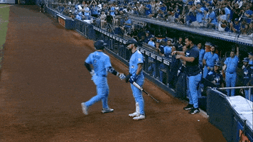 Blue Jays Baseball GIF by Toronto Blue Jays