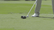 Golf Drive GIF by Colgate Athletics
