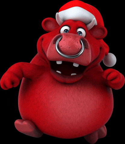 Fim De Ano GIF by Boi Brabo