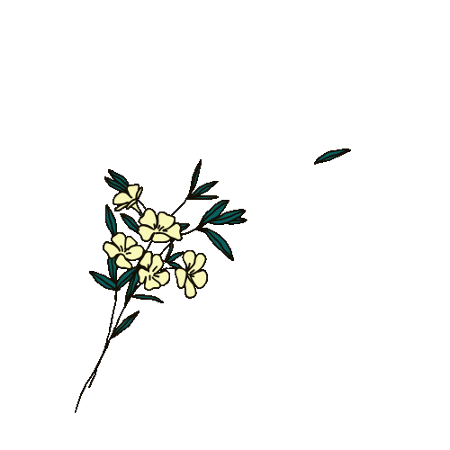 LeQuartierAnime flowers 2danimation animatedillustration lequartieranime Sticker
