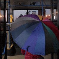 pirosorr haho pirosorr ittvagyok anevetésgyógyít GIF