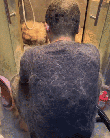 cuteanimalland giphyupload GIF