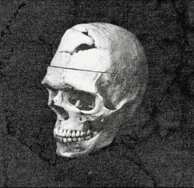 ewanjonesmorris giphyupload skull blackandwhite repeat GIF