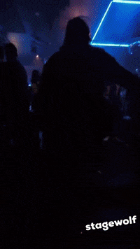 Party Dancing GIF by STAGEWOLF