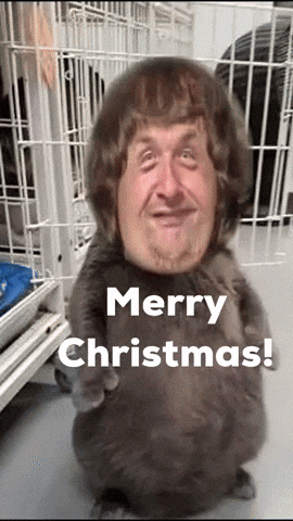 Happy Merry Christmas GIF