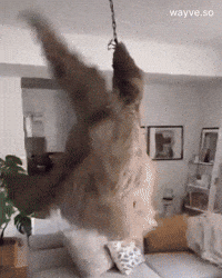 Mood Feels GIF by Darwin