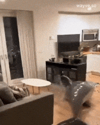 Mood Feels GIF by Darwin