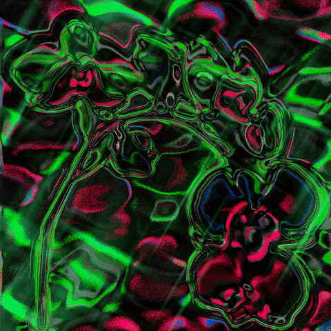 Loop Rainbow GIF by Toke