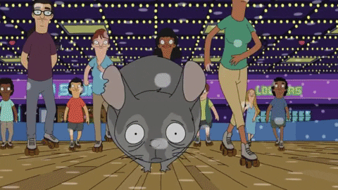 sphillips4564 giphygifmaker bobs burgers adventures in chinchilla sitting GIF