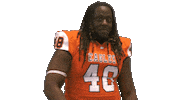 Head Shake Sticker by Carson-Newman Athletics