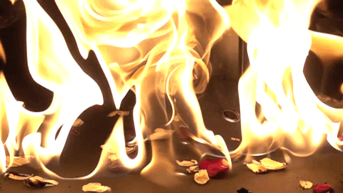 andthemethod giphygifmaker GIF