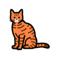 moffme cat pet 猫 ペット Sticker