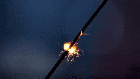 GIF by sallybrabbit