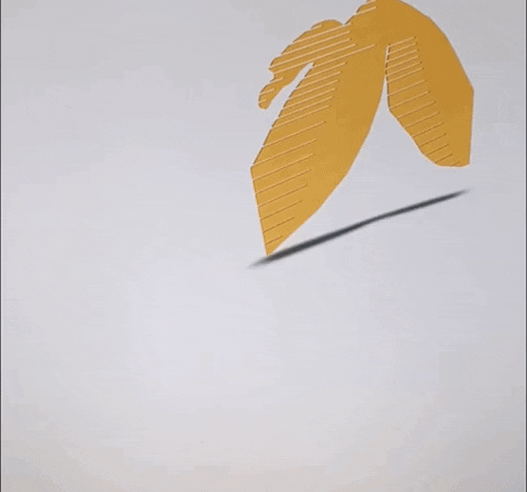 LauBLau giphyupload GIF