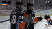 Anaheim Ducks Nhl GIF by San Diego Gulls
