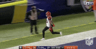 Cincinnati Bengals Football GIF by NFL