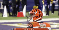 Cincinnati Bengals Football GIF by NFL