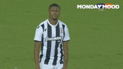 paokfc football paokfc paokfamily akpom GIF