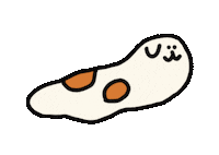 bridge_chiao chiaobridge 陳橋 森寫真 Sticker