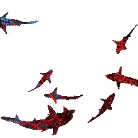 Effect Swimming Sticker by Shark Week