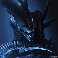 GIF by 20th Century Fox Home Entertainment