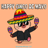 Cinco De Mayo Celebration GIF by Silly Kitties