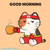 Good Morning Coffee GIF by Silly Kitties