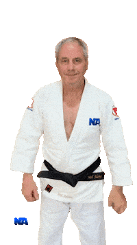 Martial Arts Ace Sticker by NA Effective Fighting