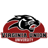 Terry Mcauliffe Vote Sticker by Creative Courage