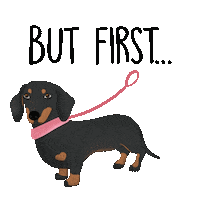 Dog Pet Sticker