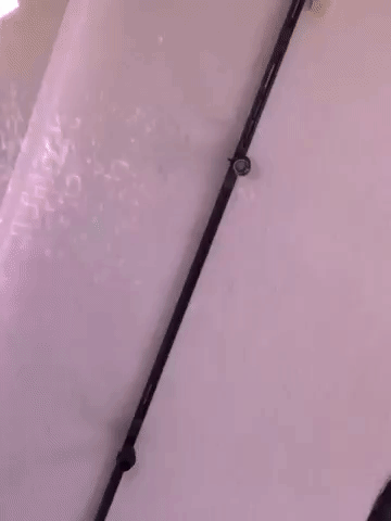 framebeta GIF