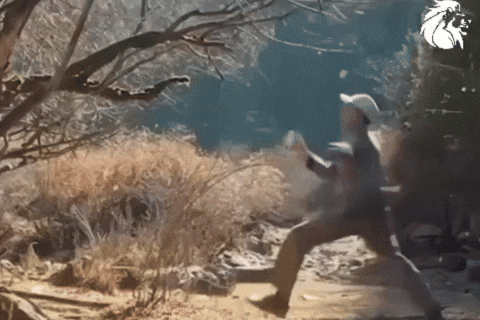 Kyrgyz GIF by Customize iT