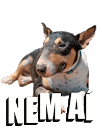 Bull Bali Sticker by Bono Surf Dog