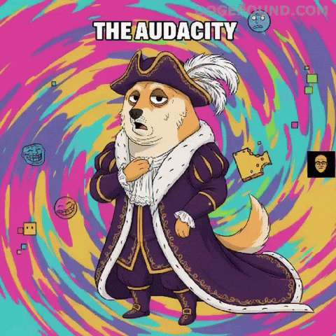 How Dare You Smh GIF by Doge Pound