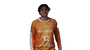 Handball-Bundesliga Handball Sticker by HSG Wetzlar