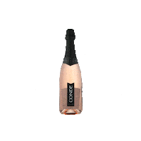 Sextou Espumante Sticker by Vinícola Aurora